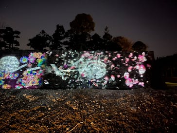 『NAKED FLOWERS 2023 桜 世界遺産・二条城』に投稿された画像（2023/3/27）