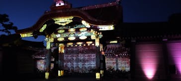 『NAKED FLOWERS 2023 桜 世界遺産・二条城』に投稿された画像（2023/3/27）