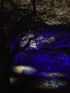 六義園に投稿された画像（2023/3/27）