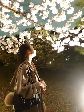 六義園に投稿された画像（2023/3/27）