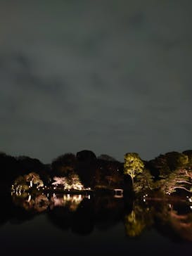 六義園に投稿された画像（2023/3/27）