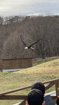 那須どうぶつ王国に投稿された画像（2023/3/27）