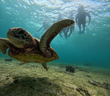 宮古島 ADVENTURE PiPi（ミヤコジマ アドベンチャー ピピ）に投稿された画像（2023/3/27）