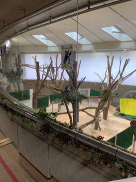 横浜市立金沢動物園に投稿された画像（2023/3/27）