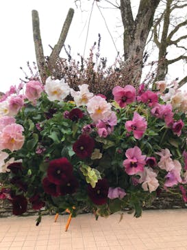 星の王子さまミュージアム 箱根サン=テグジュペリに投稿された画像（2023/3/27）