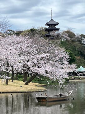 三溪園に投稿された画像（2023/3/27）