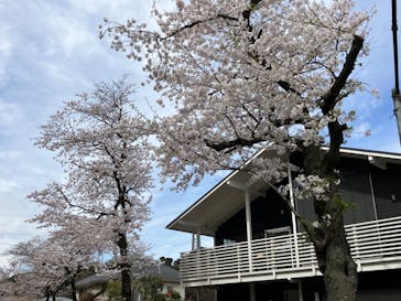 三溪園に投稿された画像（2023/3/27）