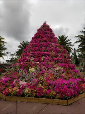 美らヤシパークオキナワ・東南植物楽園に投稿された画像（2023/3/27）