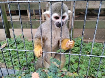 美らヤシパークオキナワ・東南植物楽園に投稿された画像（2023/3/27）