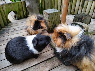 美らヤシパークオキナワ・東南植物楽園に投稿された画像（2023/3/27）