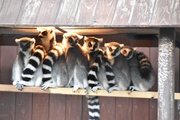 到津の森公園に投稿された画像（2023/3/27）