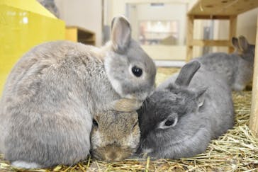 到津の森公園に投稿された画像（2023/3/27）