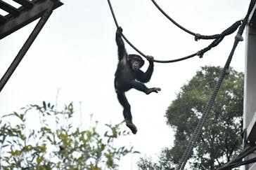 到津の森公園に投稿された画像（2023/3/27）