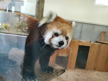 到津の森公園に投稿された画像（2023/3/27）