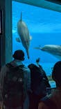 大分マリーンパレス水族館 「うみたまご」に投稿された画像（2023/3/28）