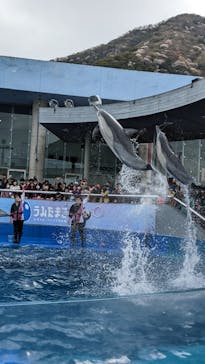 大分マリーンパレス水族館 「うみたまご」に投稿された画像（2023/3/27）