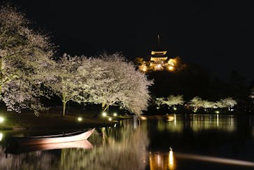 三溪園に投稿された画像（2023/3/27）