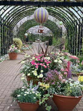 横浜イングリッシュガーデンに投稿された画像（2023/3/27）