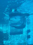 名古屋港水族館に投稿された画像（2023/3/28）