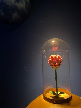 星の王子さまミュージアム 箱根サン=テグジュペリに投稿された画像（2023/3/28）