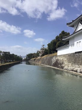 元離宮二条城に投稿された画像（2023/3/28）