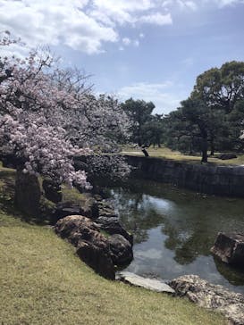 元離宮二条城に投稿された画像（2023/3/28）