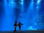 アクアワールド茨城県大洗水族館に投稿された画像（2023/3/28）