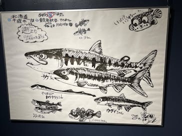 サケのふるさと 千歳水族館に投稿された画像（2023/3/28）