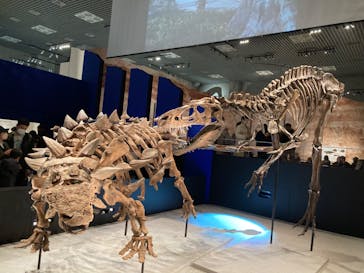 特別展「恐竜博2023」に投稿された画像（2023/3/28）