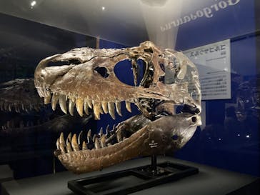 特別展「恐竜博2023」に投稿された画像（2023/3/28）