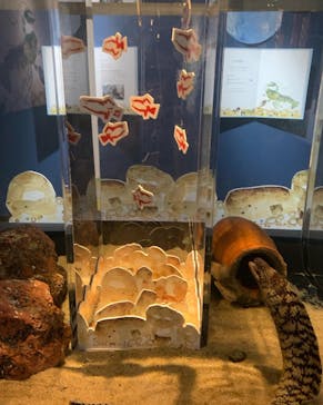 環境水族館アクアマリンふくしまに投稿された画像（2023/3/28）