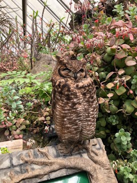 伊豆シャボテン動物公園に投稿された画像（2023/3/28）