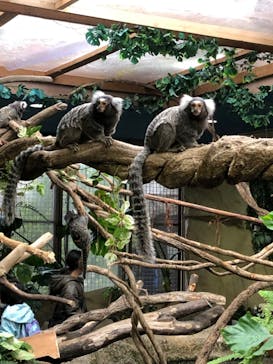 那須どうぶつ王国に投稿された画像（2023/3/28）