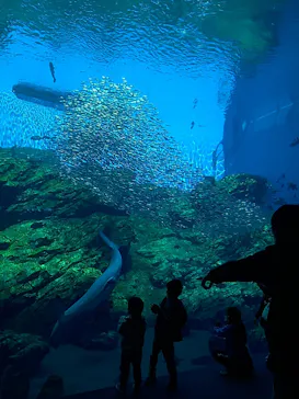 仙台うみの杜水族館に投稿された画像（2023/3/28）