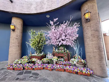 ひらかたパークに投稿された画像（2023/3/28）