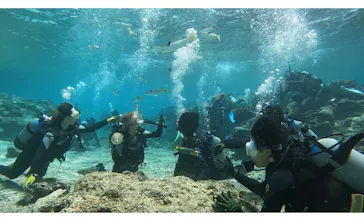 武藤潜水に投稿された画像（2023/3/28）