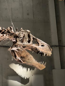 特別展「恐竜博2023」に投稿された画像（2023/3/28）