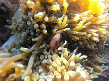 武藤潜水に投稿された画像（2023/3/28）