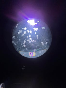 サンシャイン水族館に投稿された画像（2023/3/28）