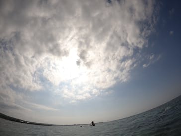 沖縄マリンサービス碧に投稿された画像（2023/3/28）