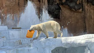 天王寺動物園に投稿された画像（2023/3/28）