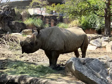 天王寺動物園に投稿された画像（2023/3/28）
