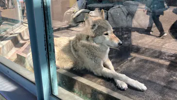 天王寺動物園に投稿された画像（2023/3/28）