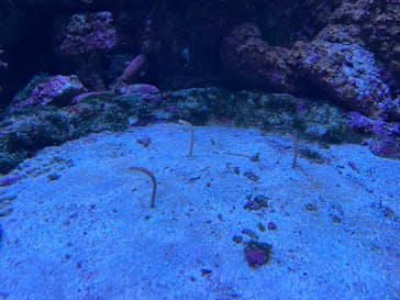 サンシャイン水族館に投稿された画像（2023/3/28）