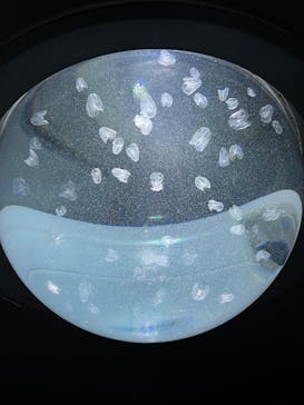 サンシャイン水族館に投稿された画像（2023/3/28）