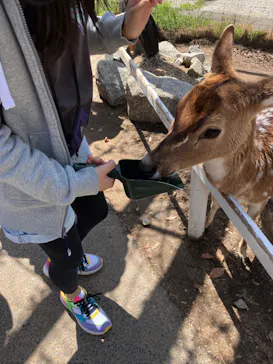 神戸どうぶつ王国に投稿された画像（2023/3/28）