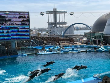 名古屋港水族館に投稿された画像（2023/3/28）