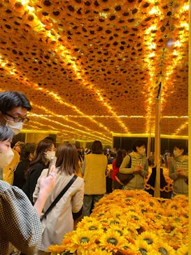 ゴッホ・アライブ神戸に投稿された画像（2023/3/28）