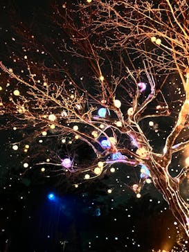 西武園ゆうえんちに投稿された画像（2023/3/28）