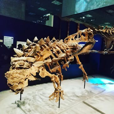 特別展「恐竜博2023」に投稿された画像（2023/3/28）